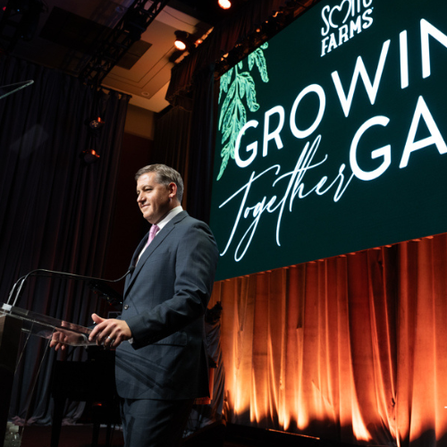 SF Gala 2024